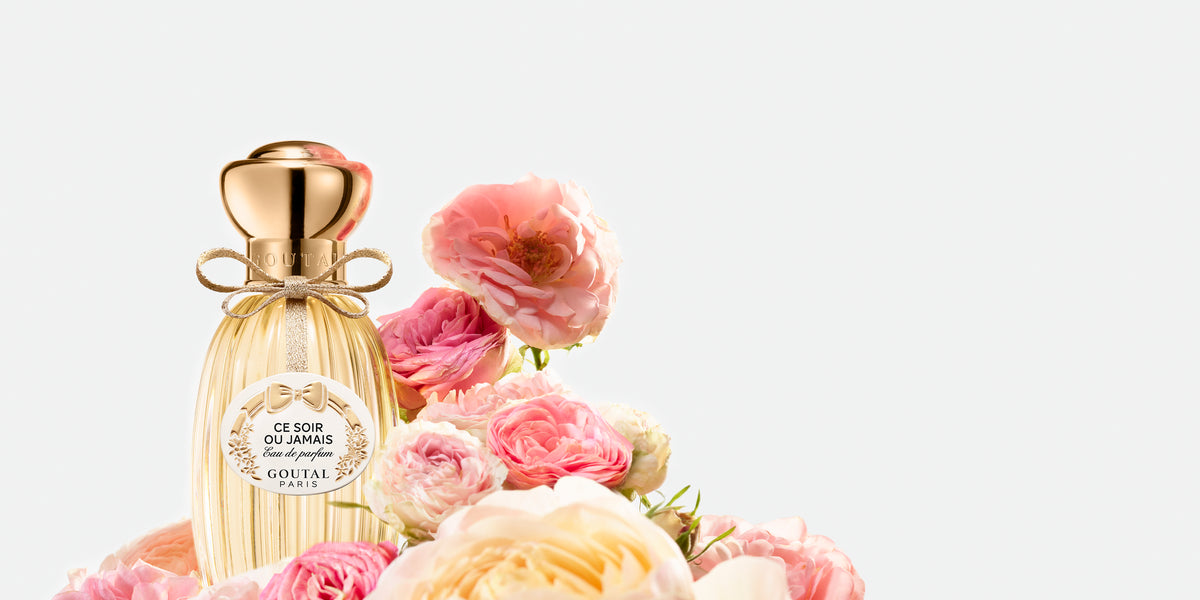 Ce soir on sale ou jamais perfume