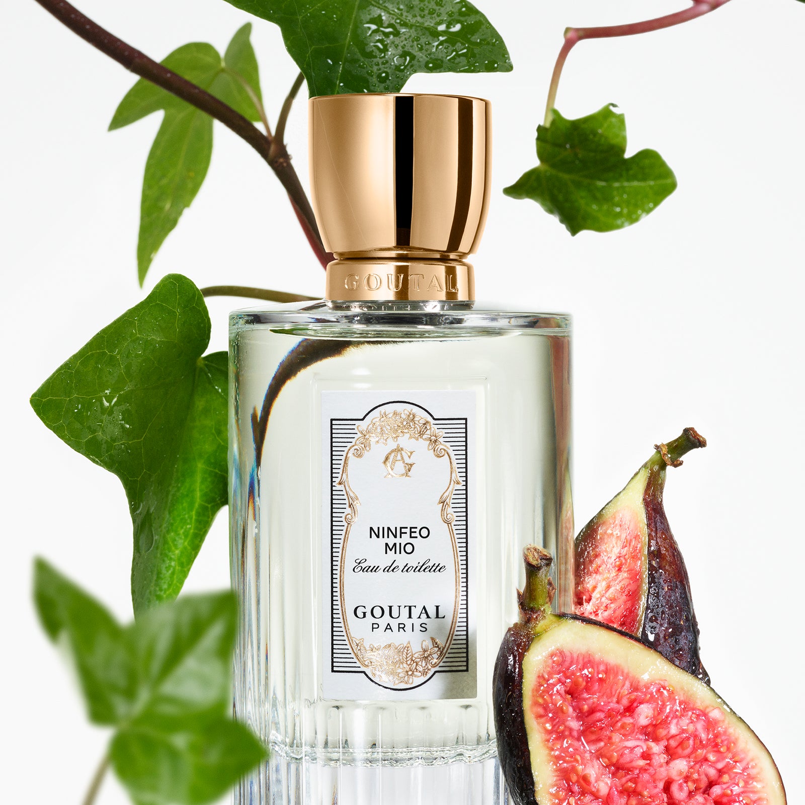香水(女性用) GOUTAL NINFEO MIO Eau de Toilette 100ml Ninfeo Mio - Eau de Toilette| Goutal Paris – Goutal Paris US